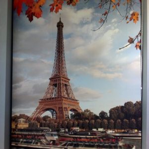 Cortinas roller Personalizados (4)