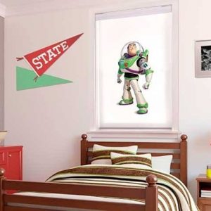 Cortinas roller Personalizados (6)